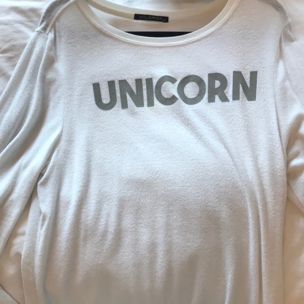 Wildfox sweatshirt